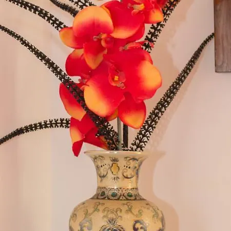 Escondidinho Do Vez, Lda