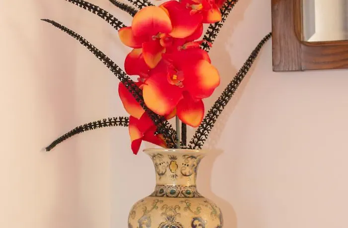 Escondidinho Do Vez, Lda